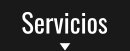servicios