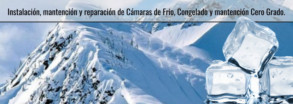 CAMARAS DE FRIO - MANTENCION INDUSTRIAL